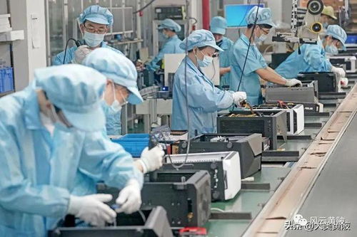 逆勢上揚 黃陂傳統(tǒng)行業(yè)轉(zhuǎn)型，軟件開發(fā)助力企業(yè)躍居全球第一