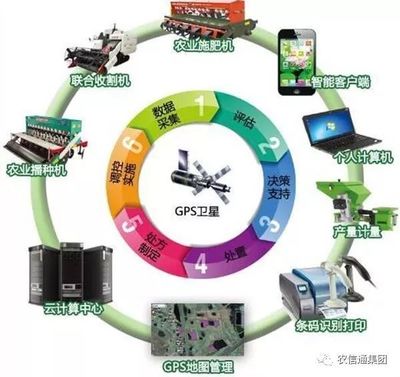 農(nóng)業(yè)大數(shù)據(jù)賦能現(xiàn)代農(nóng)業(yè) 計算機應(yīng)用驅(qū)動下的跨越式發(fā)展